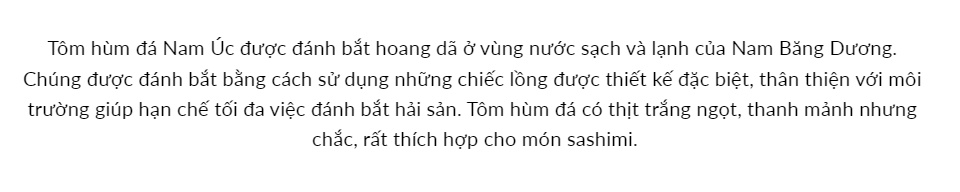 Tôm Hùm Đá Nam Úc loại 0.8-1 kg