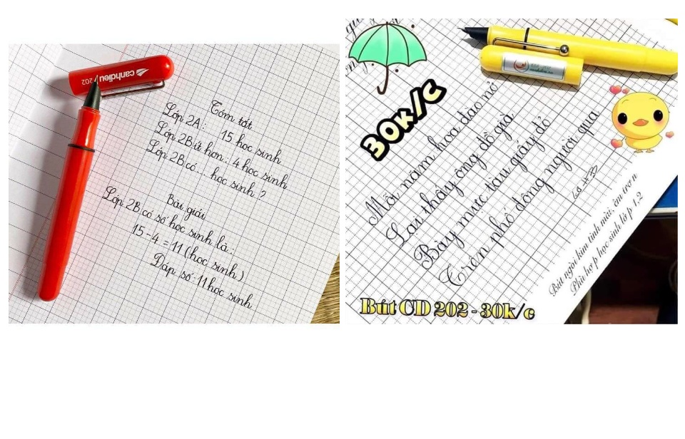 Bút máy Cánh Diều 202 loại vòng đệm⚡ CAO CẤP ⚡ bút mực cho bé lớp 1 trở lên - bút luyện viết chữ đẹp - được chọn màu