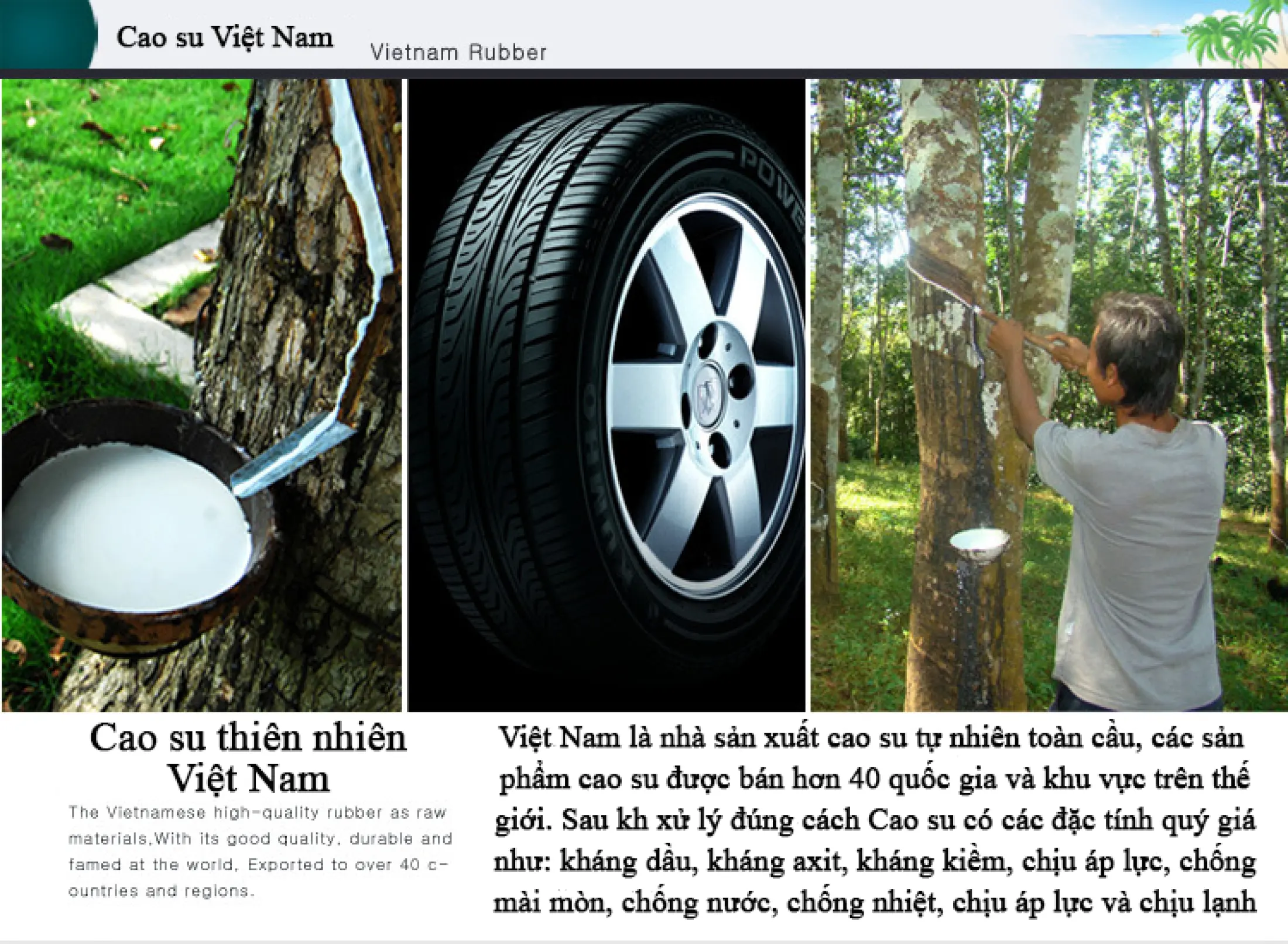 Dép Sandal Nam Vento Kiểu Quai Chéo Basic NV25