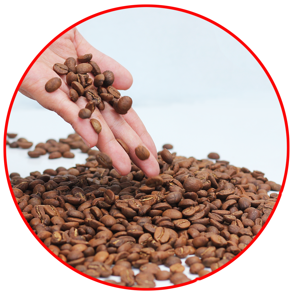 coffee 1kg cà phê rang mộc gói đậm gu thành phần 80% robusta + 20% arabica - cafe ngon nguyên chất đến từ đắk lắk - 2 gói mỗi gói 500gr - cam kết nguyên chất - xay sẵn dùng pha phin 1