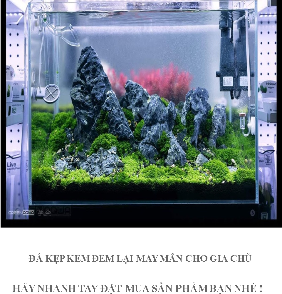 Đá Kẹp Kem ( 1KG )cao cấp, set hồ cá thủy sinh, bể cá, thác cát, làm tiểu cảnh đem lại may mắn gia chủ
