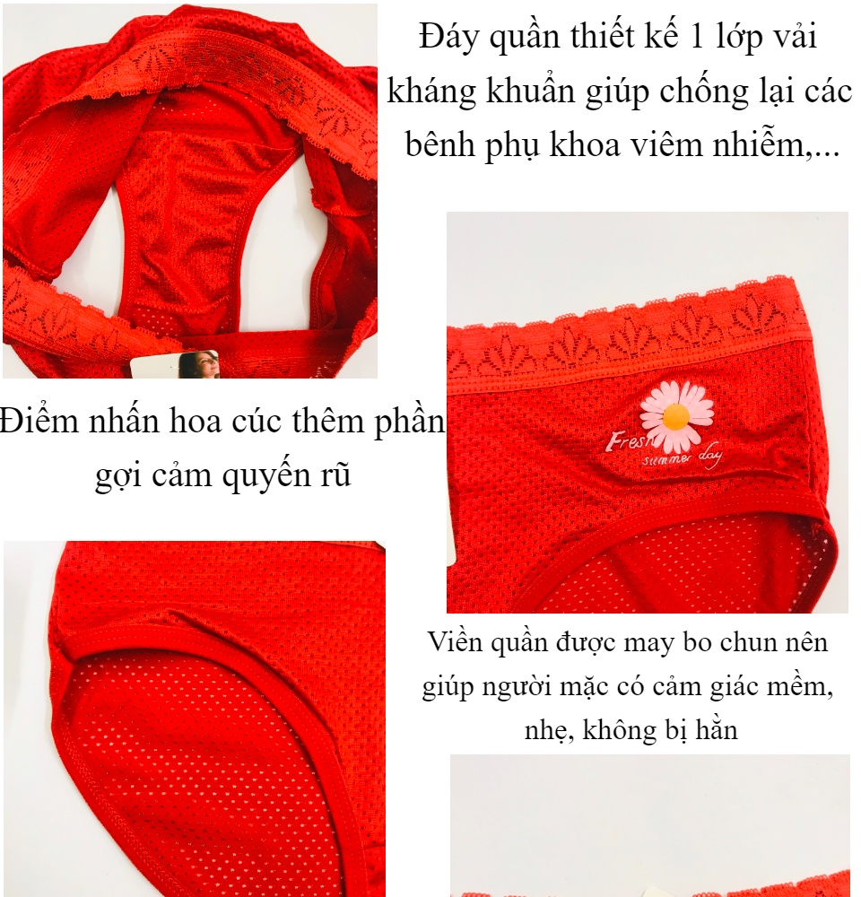 Quần lót hoa cúc tui zip cao cấp 7