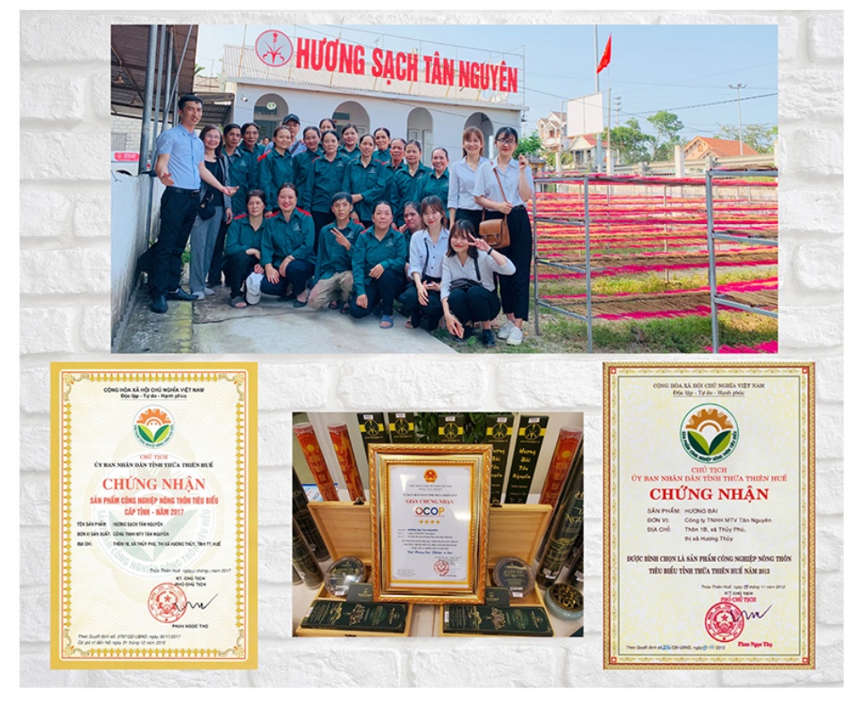 Nhang trầm hương Tân Nguyên, hương trầm sạch, nhang trầm cao cấp ngắn 23cm phù hợp nhà chung cư, trần thấp, hẹp