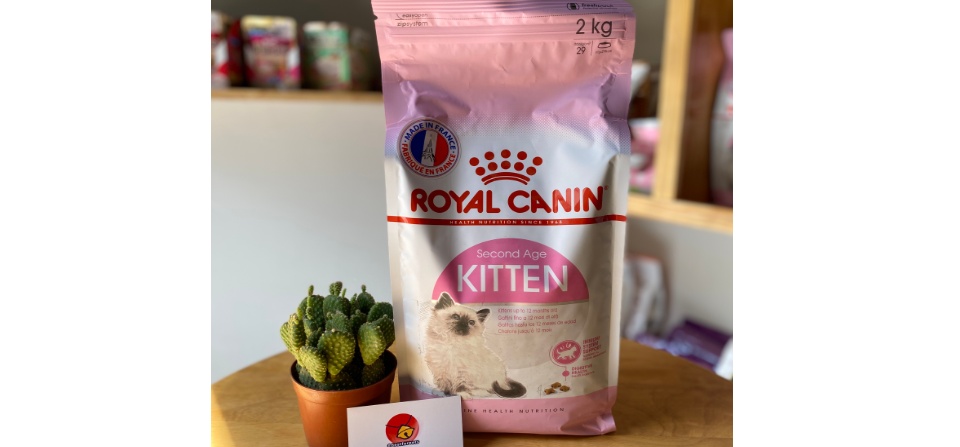 Thức ăn cho mèo Royal Canin Kitten - nhập khẩu chính hãng
