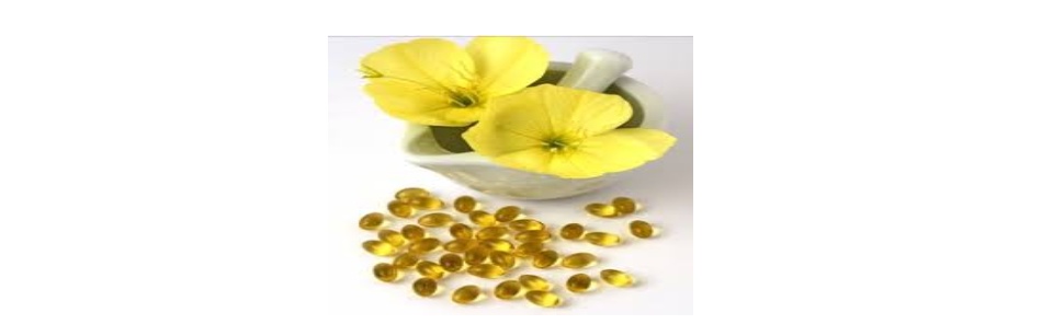 tinh dầu hoa anh thảo evening primrose oil david health hỗ trợ cân bằng 1