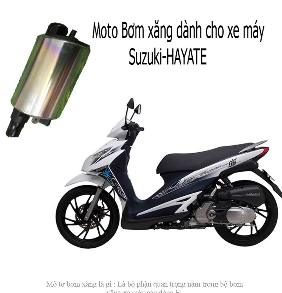 Suzuki Việt Nam ra mắt Hayate phiên bản mới  Báo Thái Nguyên điện tử