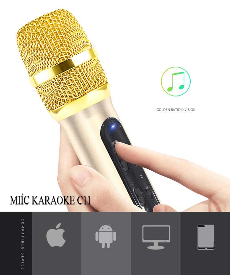 Bộ mic thu âm livestream cực chất C11 cho giới trẻ Micro Karaoke Livestream cực