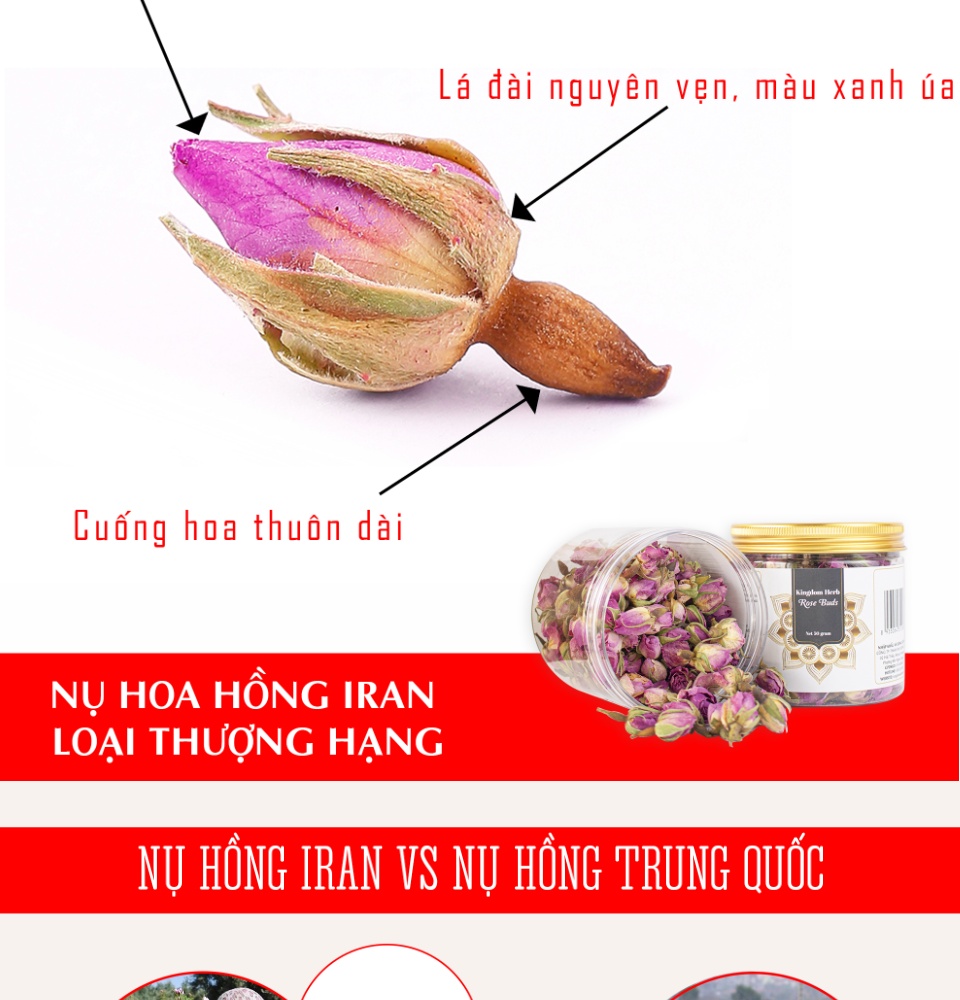 combo kingdom saffron nhụy hoa nghệ tây và nụ hồng khô iran thượng hạng 1 13