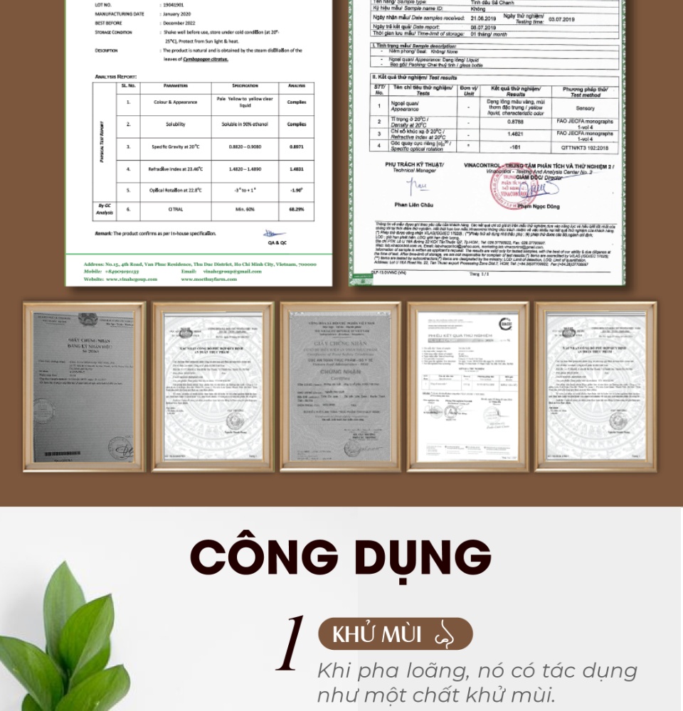 Tinh dầu thiên nhiên dung tích 100ml HOMER nhập khẩu - Nhóm đơn hương cơ bản 20 mùi - Tinh dầu Cam / Bạc hà / Sả chanh