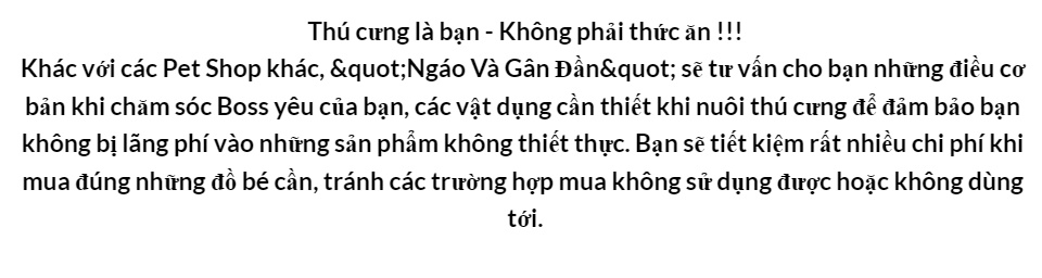 Tấm lót vệ sinh chó mèo than hoạt tính Charcoal