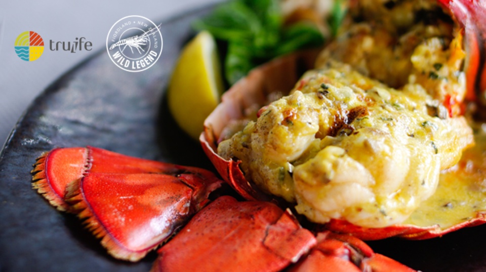 Tôm Hùm Đá Nam Úc loại 0.8-1 kg