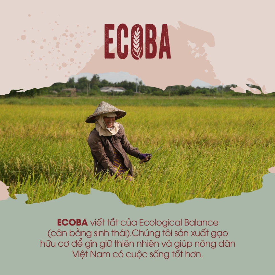 Gạo lứt đỏ ăn kiêng 100% hữu cơ - ECOBA Huyết Rồng 1kg - Mềm bùi dễ ăn -  Đạt chứng nhận hữu cơ quốc tế in trên hộp