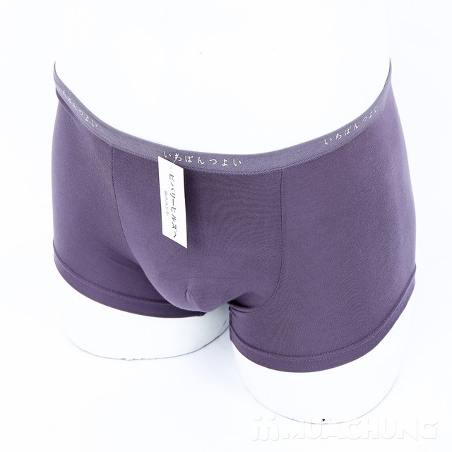 Combo 6 quần sịp đùi xuất Nhật chất cotton mềm mại với giá chỉ 215.000đ - 7