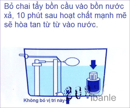 Hướng dẫn sử dụng chai thả bồn cầu