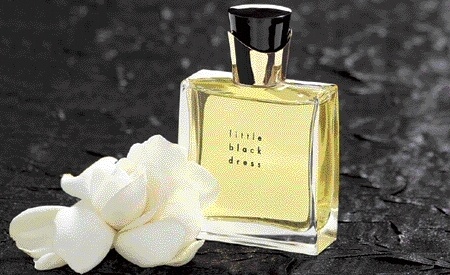 Nước hoa Little Black Dress EdP 50ml