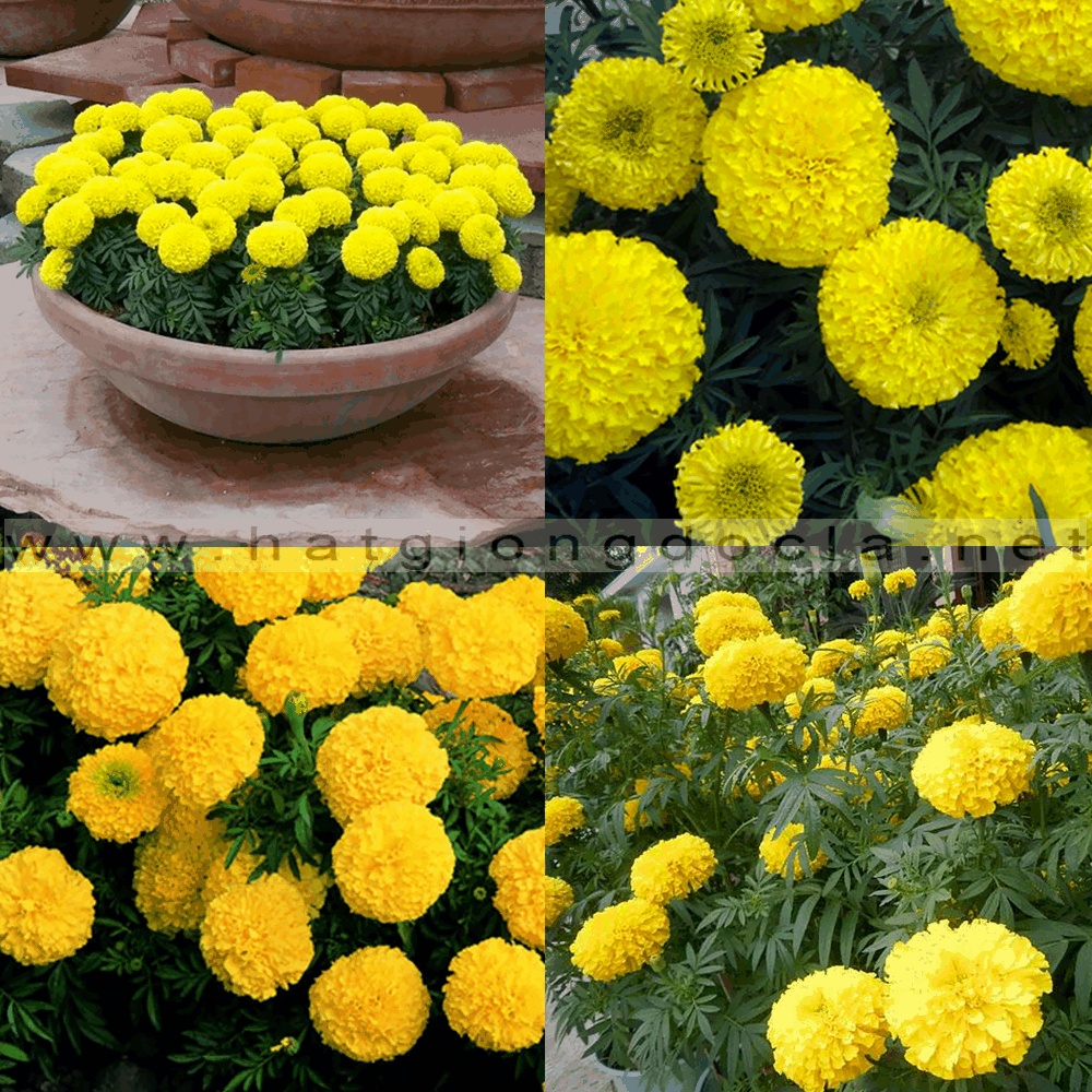 Related image