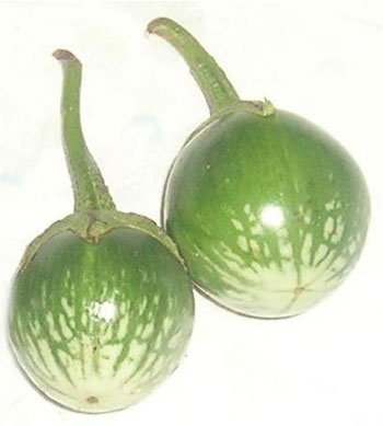 ca-trung-thai-lan