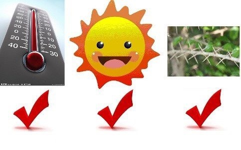 BỘ VÒI TƯỚI CÂY 6 CHẾ ĐỘ PHUN 15M 6