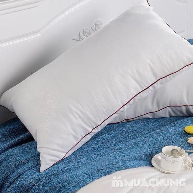 Combo 2 ruột gối bông ép Hilton siêu hot - 8