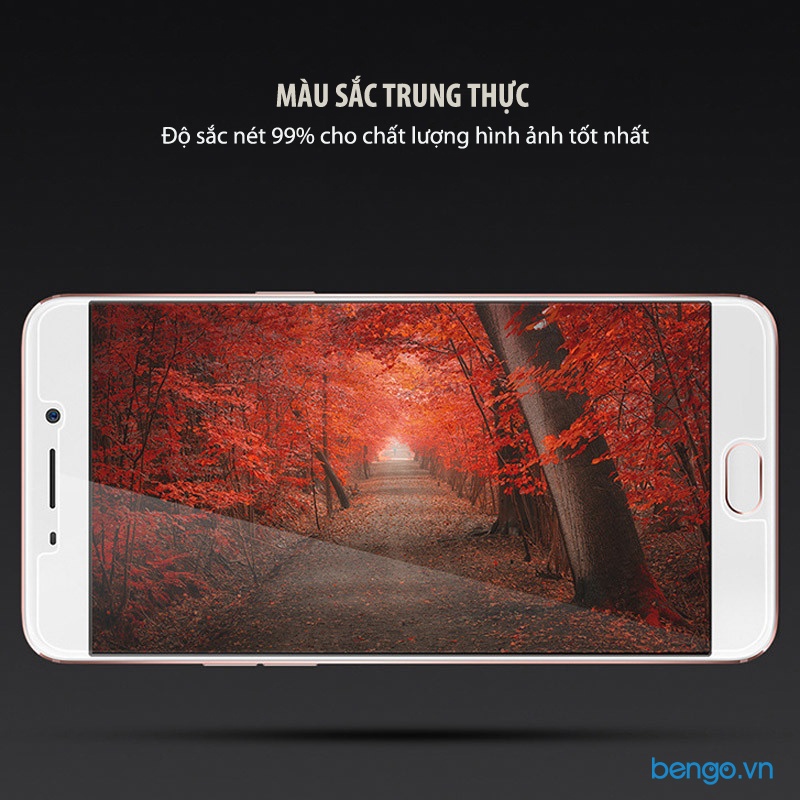 Dán màn hình cường lực OPPO R9s Plus 9H