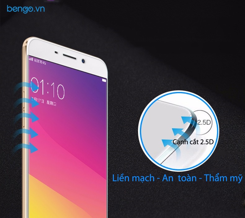Dán màn hình cường lực OPPO R9s Plus 9H