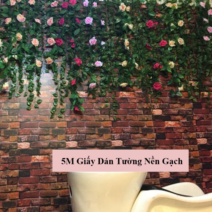 giay-dan-tuong