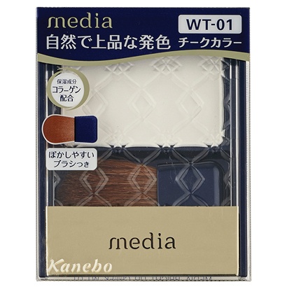 Kết quả hình ảnh cho kanebo media wt-01