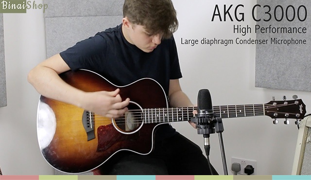 AKG C3000 