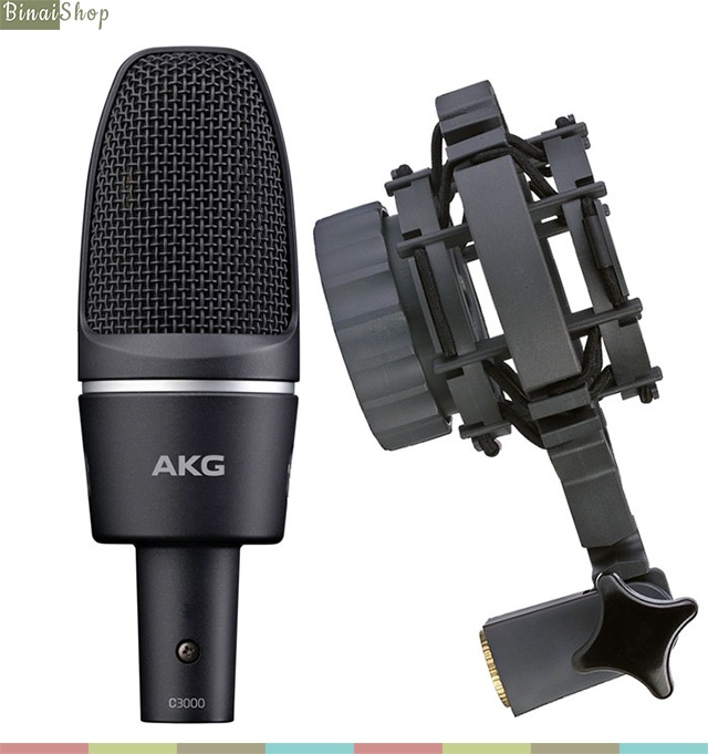 AKG C3000 